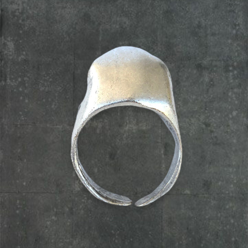 Fred the Frog Silver Ring