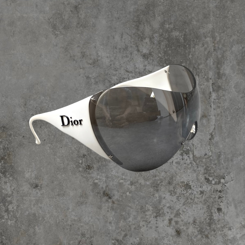 Dior ski hot sale 1 sunglasses